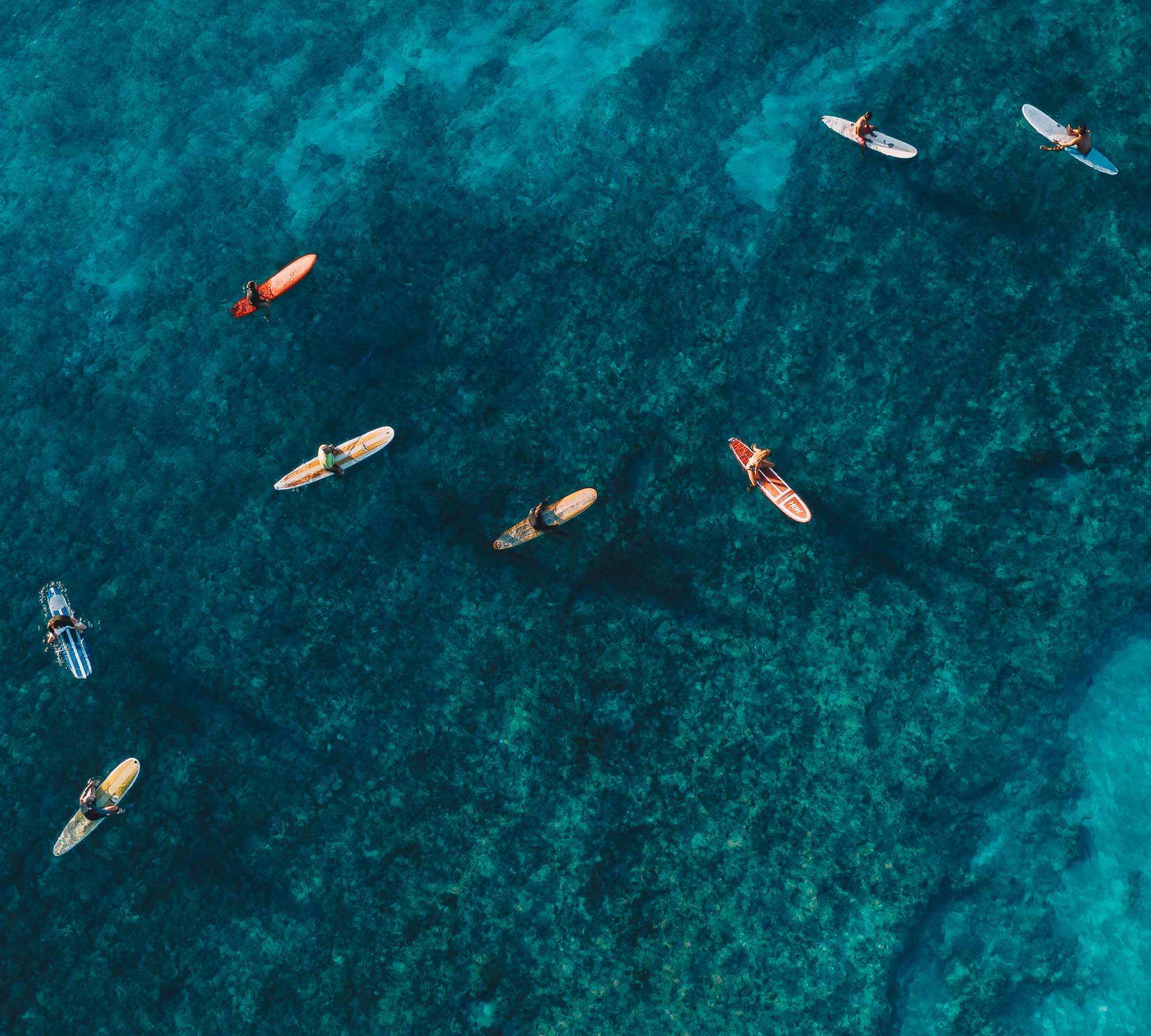 Aerial view of people on surfboards in clear blue water