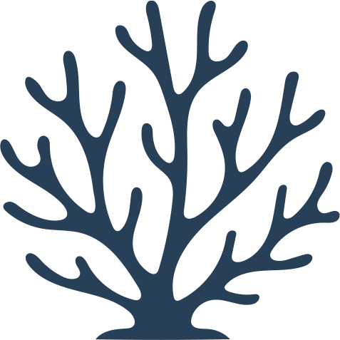 coral reef illustration to represent salt+blue's reef-friendly suncare